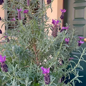A Due Passi Dalla Casa vacanze Selargius